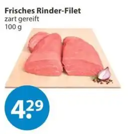 V Markt Frisches Rinder-Filet Angebot