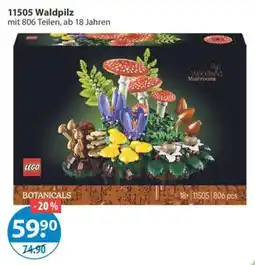 V Markt LEGO Botanicals Waldpilz Angebot