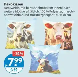 V Markt Dekokissen Angebot