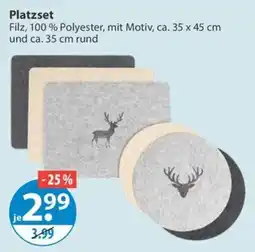 V Markt Platzset Angebot