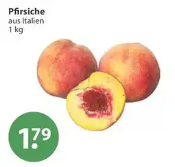 V Markt Pfirsiche Angebot