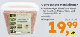 Globus Baumarkt ENTAVA Getrocknete MEHLWÜRMER Angebot