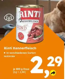 Globus Baumarkt Rinti Kennerfleisch Angebot