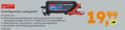 Globus Baumarkt TrendLine Intelligentes Ladegerät Angebot