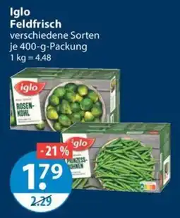V Markt Iglo Feldfrisch Angebot