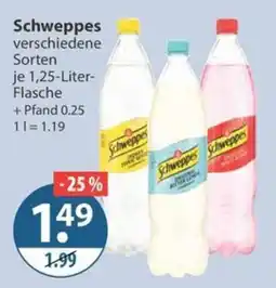 V Markt Schweppes Angebot