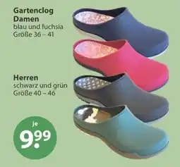 V Markt Gartenclog Angebot