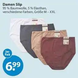 V Markt Damen Slip Angebot