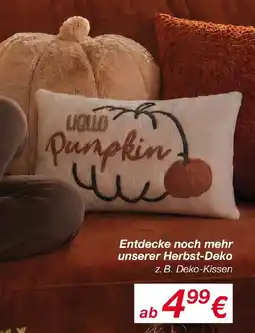 KiK Entdecke noch mehr unserer Herbst-Deko Angebot