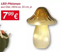 KiK LED-Pilzlampe Angebot