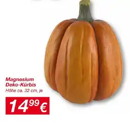 KiK Magnesium Deko-Kürbis Angebot