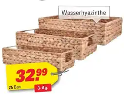 Höffner Box Angebot