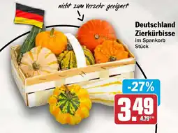 AEZ Deutschland Zierkürbisse Angebot