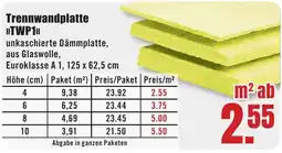 B1 Discount Baumarkt Trennwandplatte »TWP1« Angebot