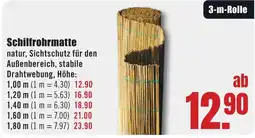 B1 Discount Baumarkt Schilfrohrmatte natur Angebot