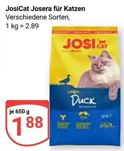 Globus JosiCat Josera für Katzen Angebot