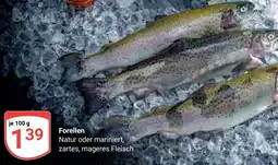 Globus Forellen Angebot
