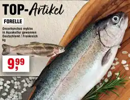 Handelshof Forelle Angebot