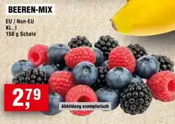 Handelshof Beeren-mix Angebot