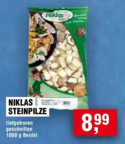 Handelshof NIKLAS STEINPILZE Angebot