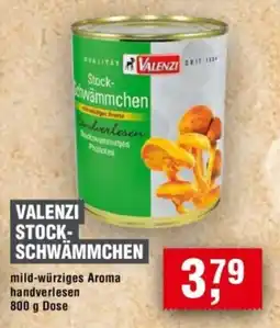 Handelshof VALENZI STOCK-SCHWÄMMCHEN Angebot