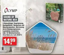 Handelshof OLYMP SOUND OF NATURE BOX Angebot