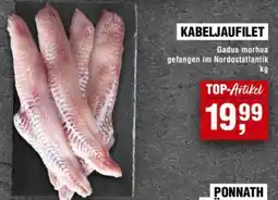Handelshof KABELJAUFILLET Angebot