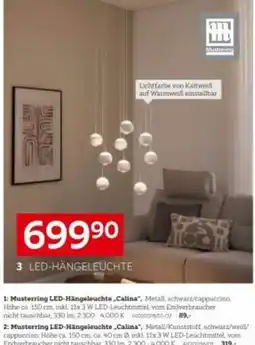 XXXLutz Musterring LED-Hängeleuchte „Calina“ Angebot