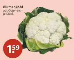 V Markt Blumenkohl Angebot