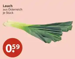 V Markt Lauch Angebot
