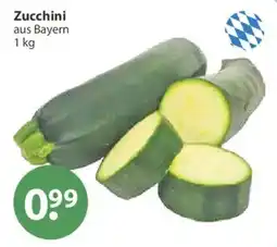 V Markt Zucchini aus Bayern Angebot