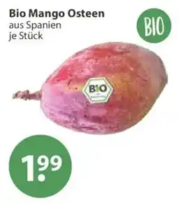 V Markt Bio Mango Osteen Angebot