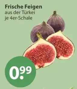 V Markt Frische Feigen Angebot