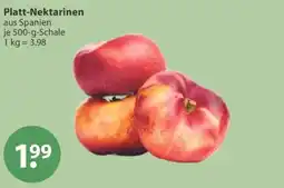 V Markt Platt-Nektarinen Angebot