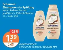 V Markt Schauma Shampoo oder Spülung Angebot