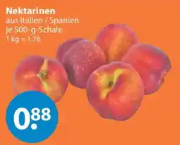 V Markt Nektarinen Angebot