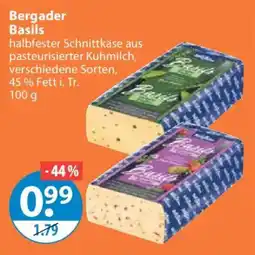 V Markt Bergader Basils Angebot