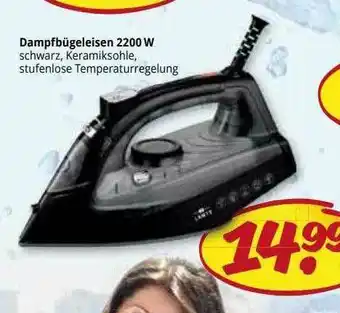 PicksRaus Dampfibügeleisen 2200 W Angebot