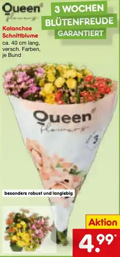 Netto Marken-Discount Queen Kalanchoe Schnittblume Angebot