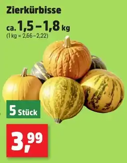 Thomas Philipps Zierkürbisse Angebot