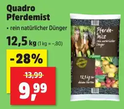 Thomas Philipps Quadro Pferdemist Angebot
