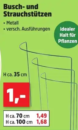 Thomas Philipps Busch- und Strauchstützen Angebot