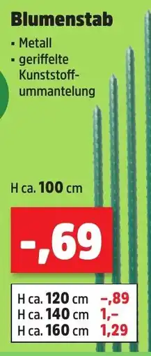 Thomas Philipps Blumenstab Angebot