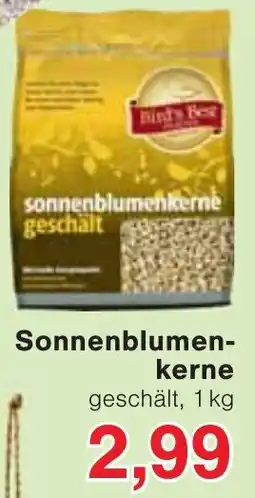 Wiglo Wunderland Sonnenblumenkerne Angebot