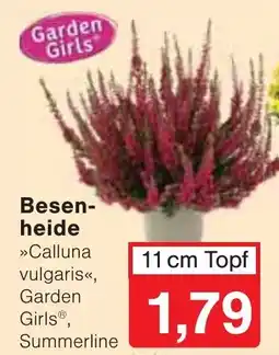Wiglo Wunderland Besenheide »Calluna vulgaris«, Garden Girls® Angebot