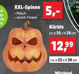 Thomas Philipps XXL-Spinne Angebot