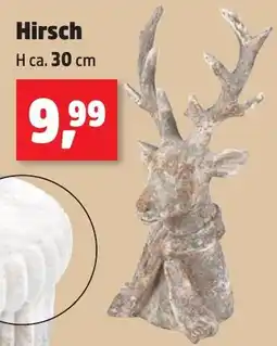 Thomas Philipps Hirsch Angebot