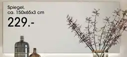 Möbel Martin Spiegel Angebot