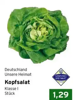 CAP Markt Kopfsalat Angebot