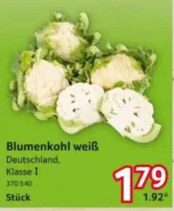 Selgros Blumenkohl weiß Angebot
